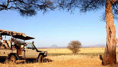 African Safari In Kenya